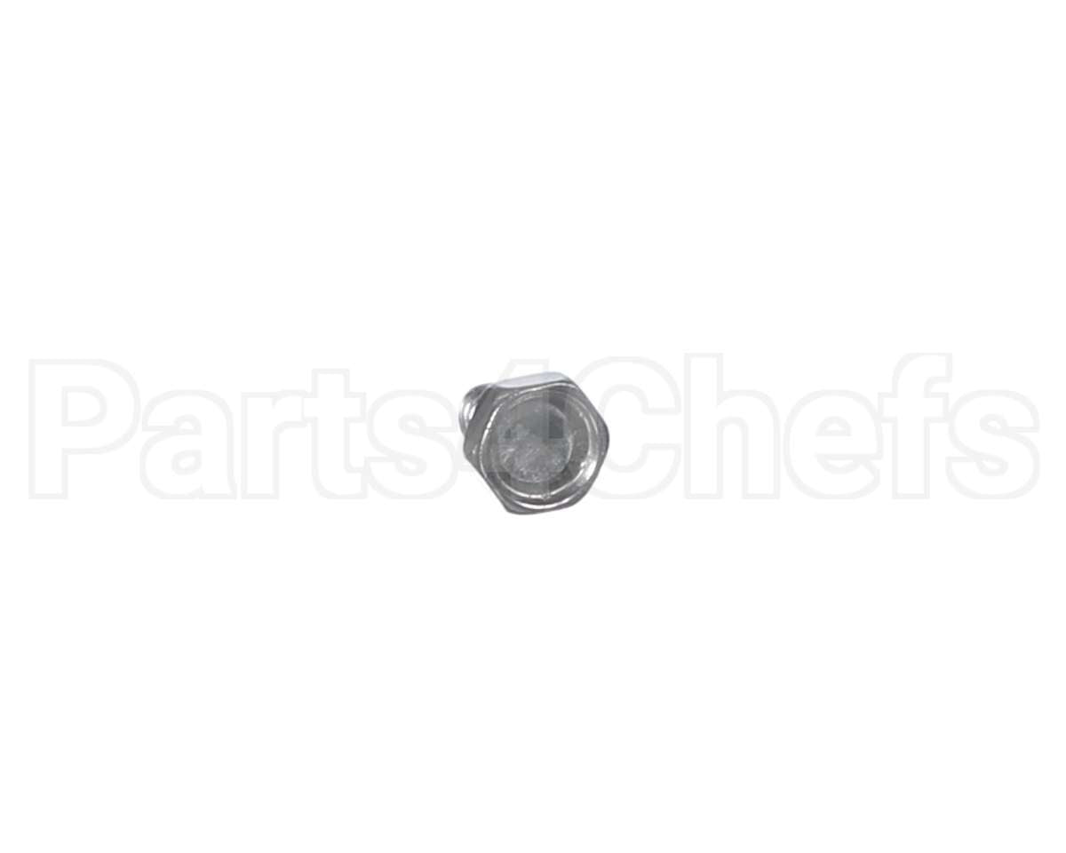 00-498756 Vulcan Hart Hex Screw