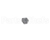 00-498756 Vulcan Hart Hex Screw