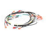 00-854285-00001 Vulcan Hart Harness,Intermittent Pilot