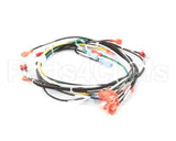 00-854285-00001 Vulcan Hart Harness,Intermittent Pilot