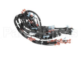 00-855691-00001 Vulcan Hart Harness,