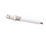 00-855856-00001 Vulcan Hart Probe,Water Level