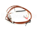 00-856042-00001 Vulcan Hart Sensor,Temperature