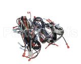 00-856745-00001 Vulcan Hart Harness,Wiring C24Ea Pro