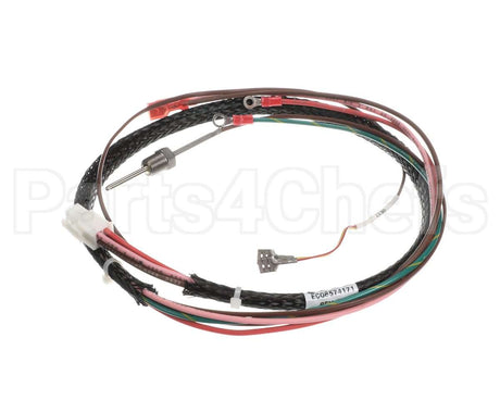 00-857417-00001 Vulcan Hart Pressure Switch Harness