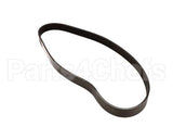 00-873921-00002 Hobart Belt,