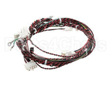 00-893447 Hobart Harness,Low Voltage
