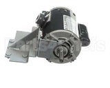 00-913102-00331 Berkel Motor, W/Pulley, Brackets & Ha