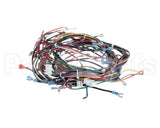 00-919690 Hobart Harness,Main,Cntrl Box