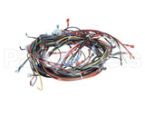 00-919690 Hobart Harness,Main,Cntrl Box