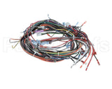 00-919690 Hobart Harness,Main,Cntrl Box