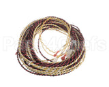 00-919808-00008 Hobart Harness,Low Volt,Tank 1,R-L