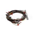 00-941880 Hobart Harness, 120V