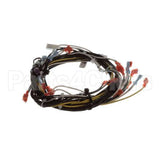 00-941880 Hobart Harness, 120V