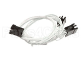 00-958455-000G1 Hobart Harness, Vk Main