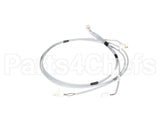 00-974062 Hobart Cable, Assembly, Temp Probes, Pw10