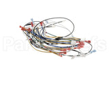 00-976534-00048 Vulcan Hart Harness, Mainvccg Ir 48