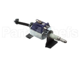 00-977030 Hobart Pump, Dedtergent