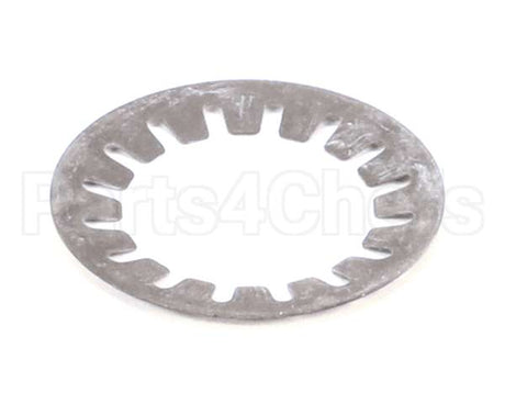 000000000110000095 Bizerba Cup Spring