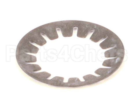 000000050001540000 Bizerba Cup Spring