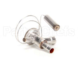 000002976 Multiplex Valve Thermal Exp - Danfoss