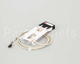 000008660 Manitowoc Ice Ice Thickness Probe Asm