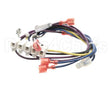 000009929 Manitowoc Ice Harness Wiring W/Term Block