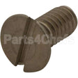 000921-45 Compatible TS Brass Screw - Spray Face