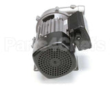00200.70 Cma Ss Pump 220V/60Hz Motor Assembly 1
