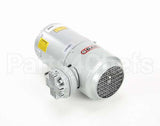 00206105 Multiplex Air Pump Pump/Motor Assembly 120V6