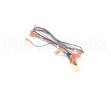 00213831 Multiplex Harness Water And Soda Sw