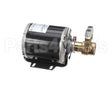 00214102 Multiplex Pump Circ W/70Gph 120V