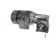 005617345 Jbt Gear Motor 230V/460V 50Hz/60Hz