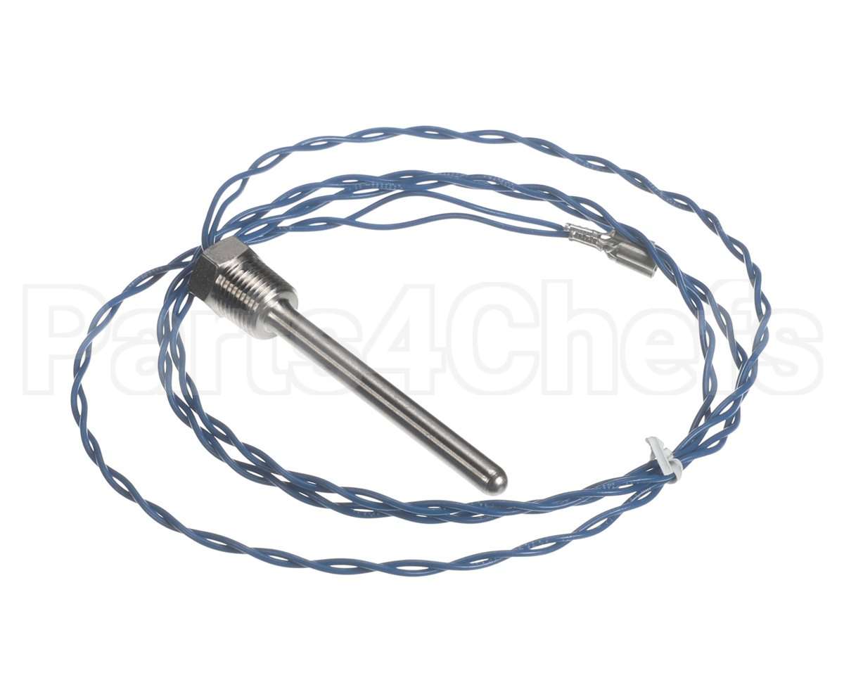 006532F Raypak Probe