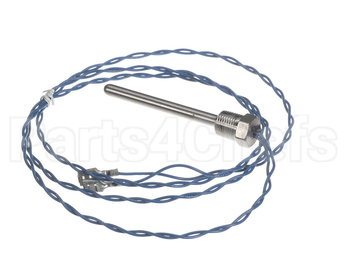 006532F Raypak Probe