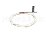 006609 Electrolux Professional Probe