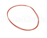 006713F Raypak Oring Kit