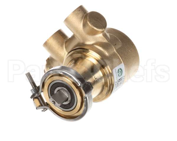 00702917 Multiplex Pump 070 Gph Brass W/170