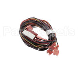00975243 Follett Wiring, Water Sensor Assembly, Saturn