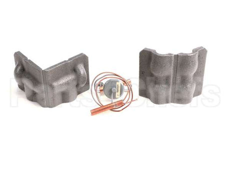 00977579 Follett Valve, Expansion Thermal
