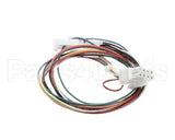 01-404175-00716 Berkel Harness, Wiring J9 (X13/Hs7/Hs