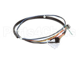 01-404175-00740 Berkel Cable,Assembly,J4