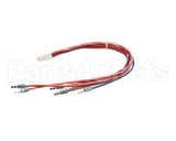 01001424 Glastender Wire Harness, Chemical Pump, G