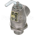 011008 Compatible Groen Safety Valve 3/4"