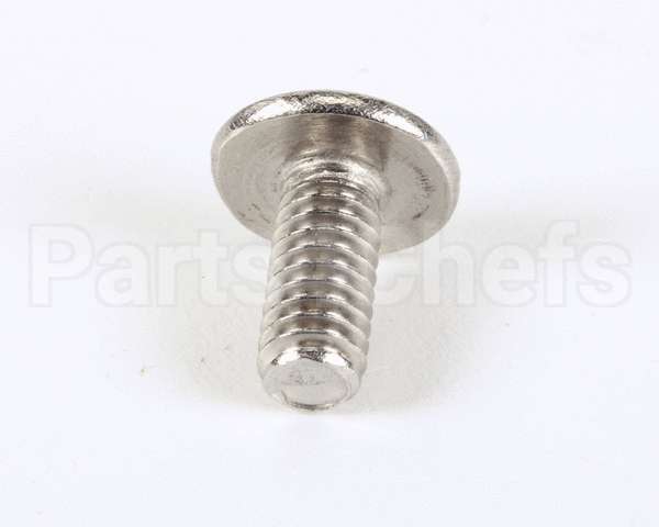 01315.0000 Bunn Screw, Trh Sltd Sst 8-32X.38