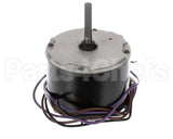 0131M00018PSP Goodman Motor