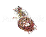 014680F Raypak Wireharness 503200Kit