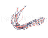 016502F Raypak Wire/Harness In/Outsensor 302C-23