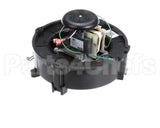 0171M00001S Goodman Motor, Inducer, 120 Volt, 60Hz