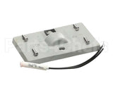 017272 Bally Rub Switch Plt W/Pil